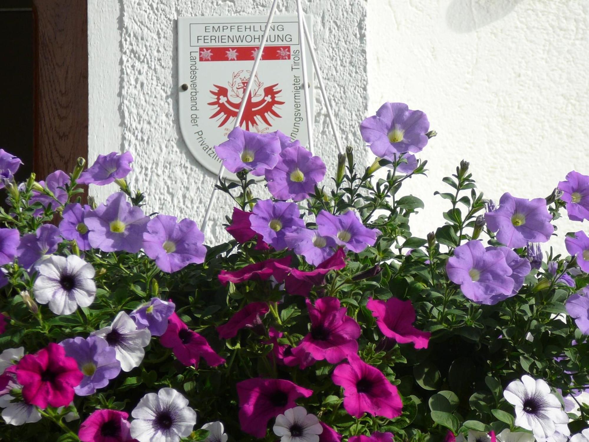 Ferienwohnungen Kathrein Reutte Zewnętrze zdjęcie